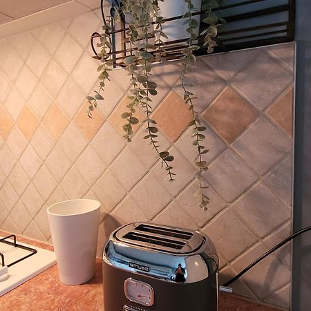La Maison Aux Iris Pocé-sur-Cisse Eksteriør bilde