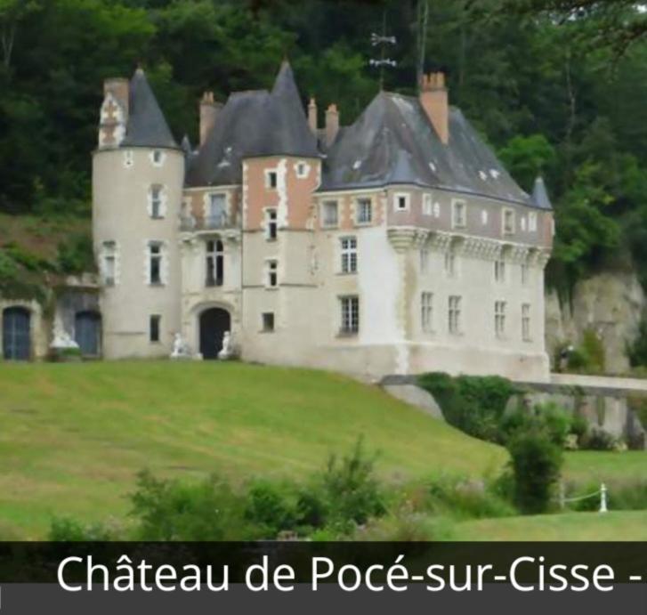 La Maison Aux Iris Pocé-sur-Cisse Eksteriør bilde