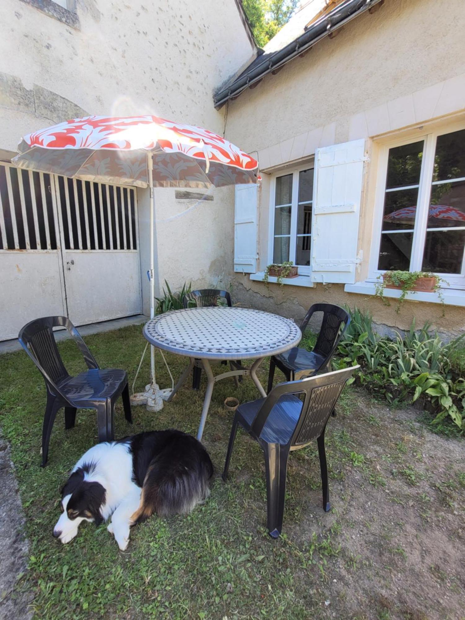 La Maison Aux Iris Pocé-sur-Cisse Eksteriør bilde